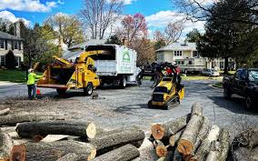 Best Leaf Removal  in Freeland, MI